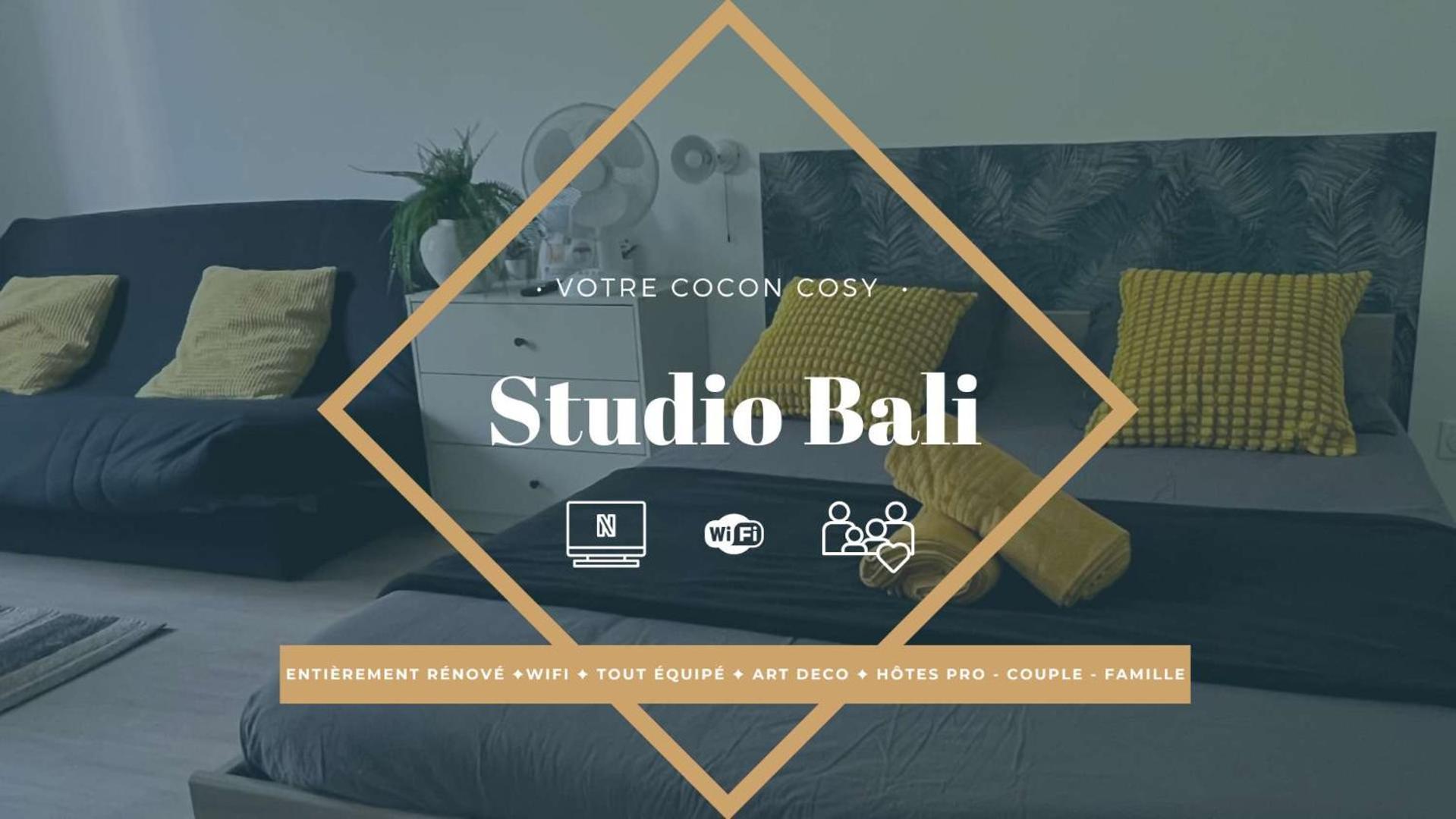 Studios Cozy Proche Gare Tgv Châtellerault Екстериор снимка